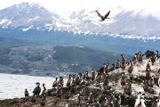 Foto: Tierra del Fuego. Gateway to the Icy Continent